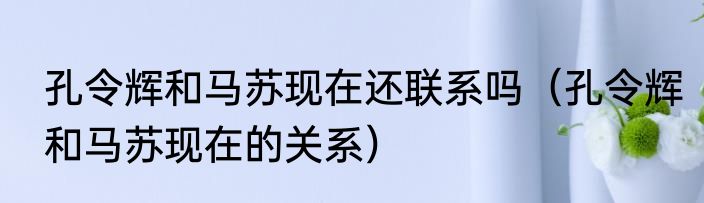 孔令辉和马苏现在还联系吗（孔令辉和马苏现在的关系）
