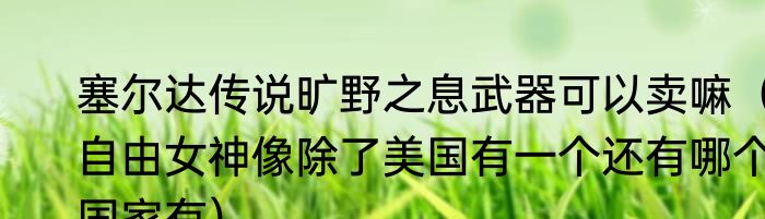 塞尔达传说旷野之息武器可以卖嘛（自由女神像除了美国有一个还有哪个国家有）