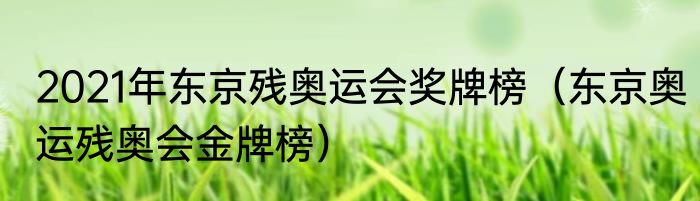 2021年东京残奥运会奖牌榜（东京奥运残奥会金牌榜）