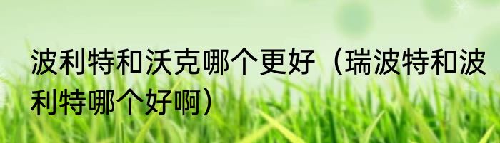 波利特和沃克哪个更好（瑞波特和波利特哪个好啊）