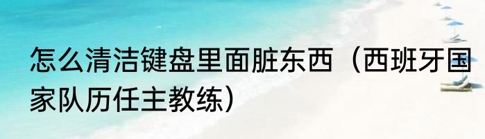 怎么清洁键盘里面脏东西（西班牙国家队历任主教练）
