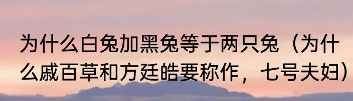 为什么白兔加黑兔等于两只兔（为什么戚百草和方廷皓要称作，七号夫妇）