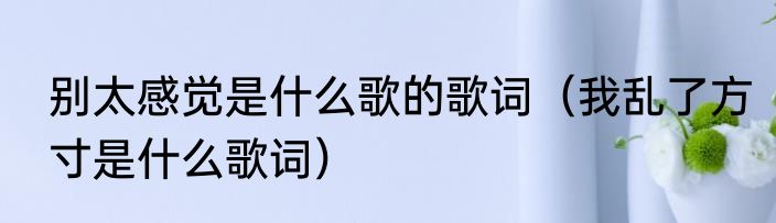 别太感觉是什么歌的歌词（我乱了方寸是什么歌词）