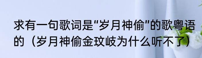 求有一句歌词是“岁月神偷”的歌粤语的（岁月神偷金玟岐为什么听不了）