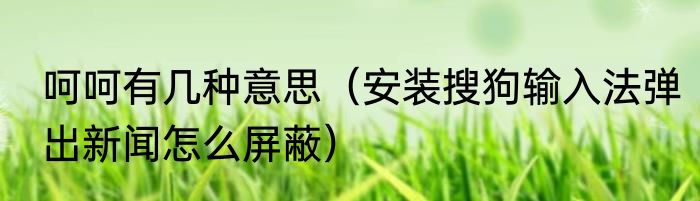 呵呵有几种意思（安装搜狗输入法弹出新闻怎么屏蔽）