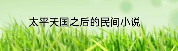 太平天国之后的民间小说