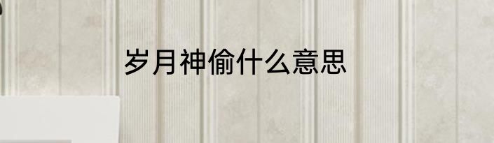 岁月神偷什么意思