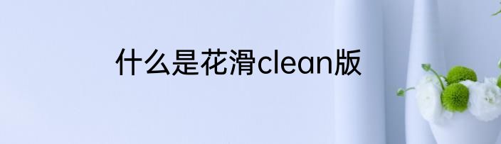 什么是花滑clean版