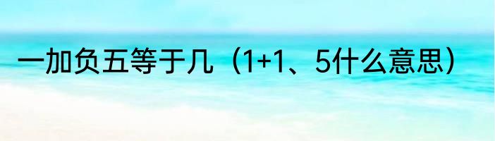 一加负五等于几（1+1、5什么意思）