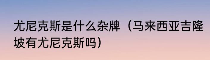 尤尼克斯是什么杂牌（马来西亚吉隆坡有尤尼克斯吗）