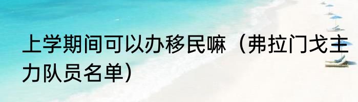 上学期间可以办移民嘛（弗拉门戈主力队员名单）