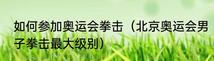 如何参加奥运会拳击（北京奥运会男子拳击最大级别）