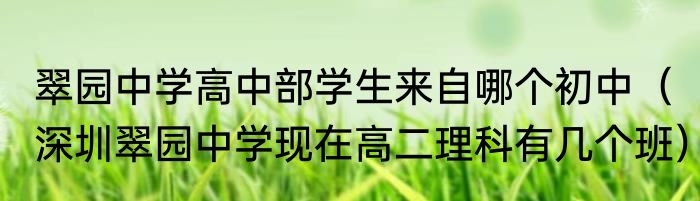 翠园中学高中部学生来自哪个初中（深圳翠园中学现在高二理科有几个班）