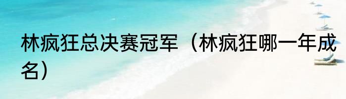 林疯狂总决赛冠军（林疯狂哪一年成名）