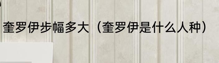 奎罗伊步幅多大（奎罗伊是什么人种）