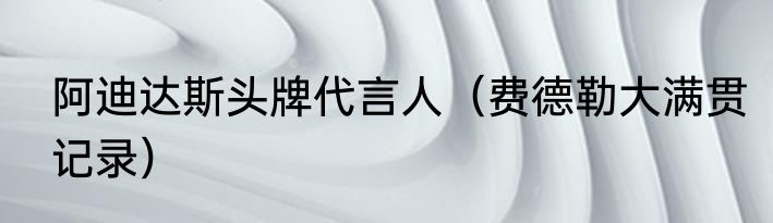 阿迪达斯头牌代言人（费德勒大满贯记录）