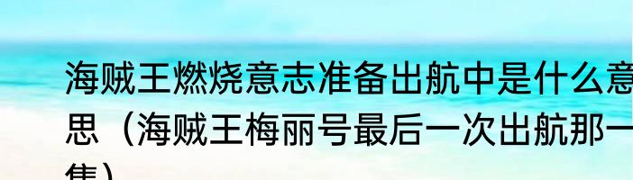 海贼王燃烧意志准备出航中是什么意思（海贼王梅丽号最后一次出航那一集）