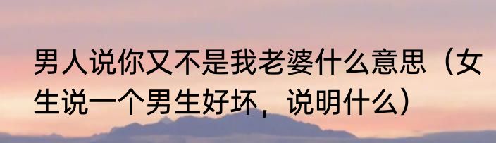男人说你又不是我老婆什么意思（女生说一个男生好坏，说明什么）
