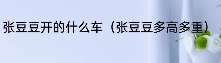 张豆豆开的什么车（张豆豆多高多重）