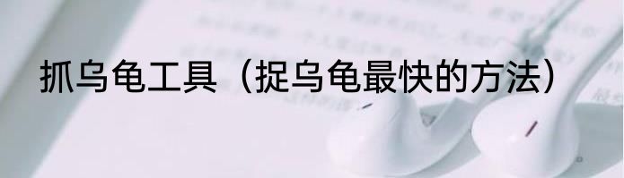 抓乌龟工具（捉乌龟最快的方法）