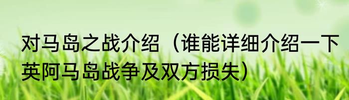 对马岛之战介绍（谁能详细介绍一下英阿马岛战争及双方损失）