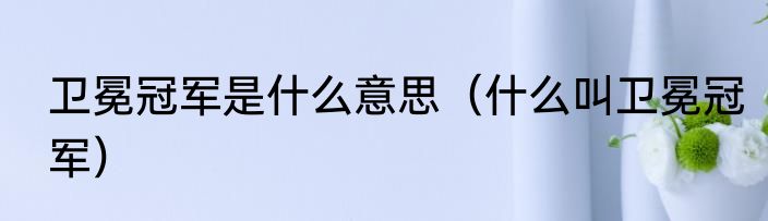 卫冕冠军是什么意思（什么叫卫冕冠军）