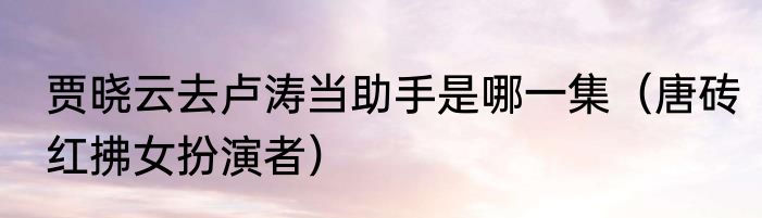 贾晓云去卢涛当助手是哪一集（唐砖红拂女扮演者）