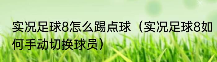 实况足球8怎么踢点球（实况足球8如何手动切换球员）
