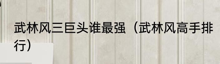 武林风三巨头谁最强（武林风高手排行）