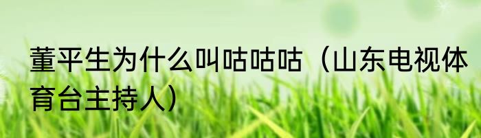 董平生为什么叫咕咕咕（山东电视体育台主持人）