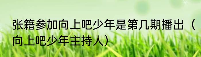 张籍参加向上吧少年是第几期播出（向上吧少年主持人）