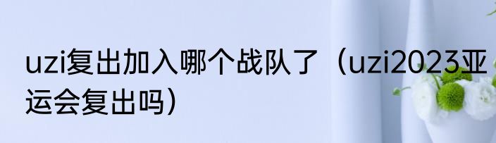 uzi复出加入哪个战队了（uzi2023亚运会复出吗）