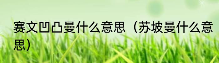 赛文凹凸曼什么意思（苏坡曼什么意思）