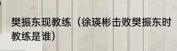 樊振东现教练（徐瑛彬击败樊振东时教练是谁）