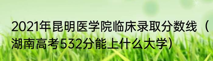 2021年昆明医学院临床录取分数线（湖南高考532分能上什么大学）