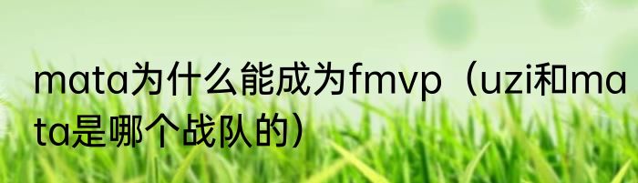 mata为什么能成为fmvp（uzi和mata是哪个战队的）