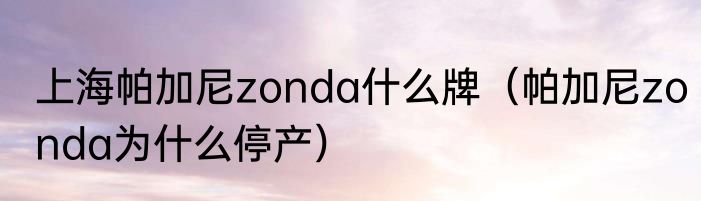上海帕加尼zonda什么牌（帕加尼zonda为什么停产）
