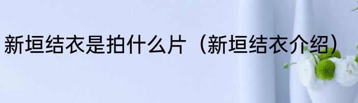 新垣结衣是拍什么片（新垣结衣介绍）