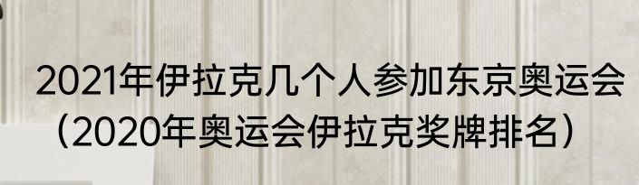 2021年伊拉克几个人参加东京奥运会（2020年奥运会伊拉克奖牌排名）