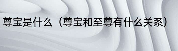 尊宝是什么（尊宝和至尊有什么关系）