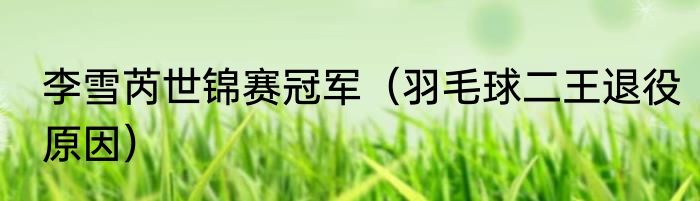 李雪芮世锦赛冠军（羽毛球二王退役原因）