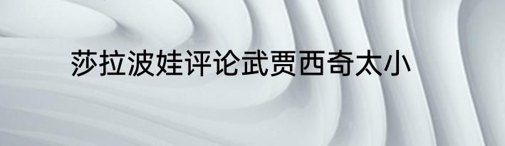 莎拉波娃评论武贾西奇太小