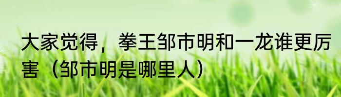 大家觉得，拳王邹市明和一龙谁更厉害（邹市明是哪里人）
