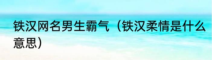 铁汉网名男生霸气（铁汉柔情是什么意思）