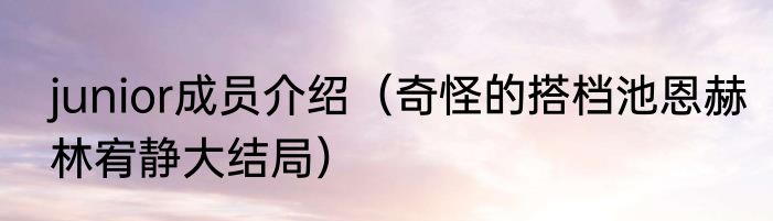 junior成员介绍（奇怪的搭档池恩赫林宥静大结局）