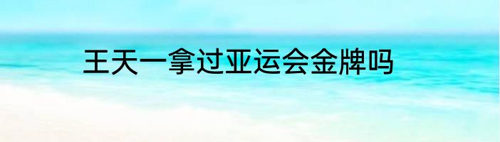 王天一拿过亚运会金牌吗