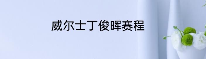 威尔士丁俊晖赛程