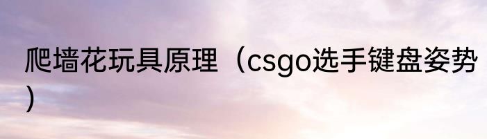 爬墙花玩具原理（csgo选手键盘姿势）