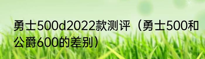 勇士500d2022款测评（勇士500和公爵600的差别）