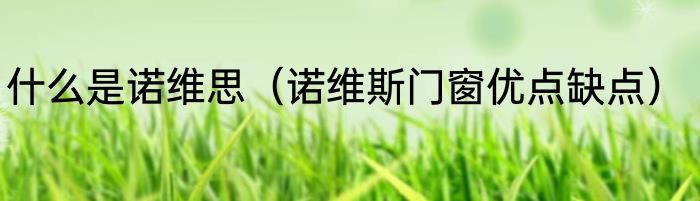 什么是诺维思（诺维斯门窗优点缺点）